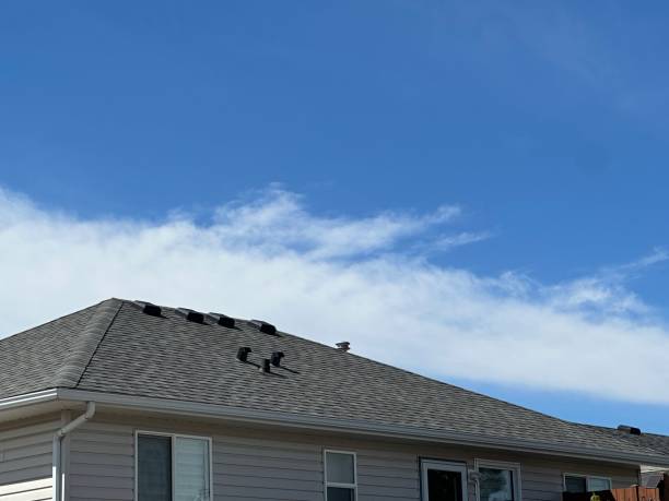 Best Roof Coating and Sealing  in Hampton Bays, NY